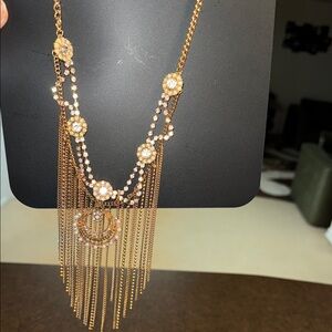 Charlotte Russe Gold and Silver Necklace with Cascading Fringe